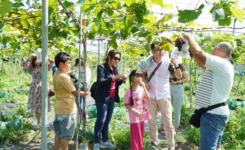 Vườn này mới khai trương ngày 1.6, mọi người cứ đến tham quan, chụp ảnh, check-in tự do hoàn toàn miễn phí Vườn này mới khai trương ngày 1.6, mọi người cứ đến tham quan, chụp ảnh, check-in tự do hoàn toàn miễn phí