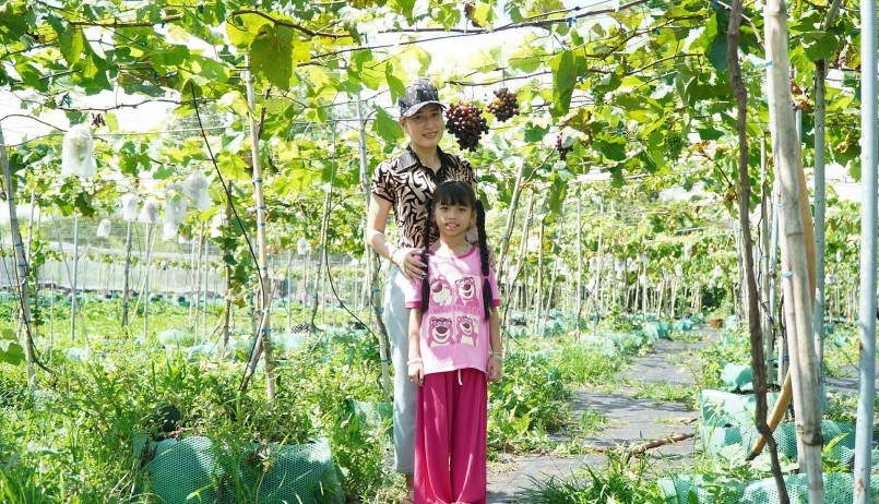 Nhiều du khách thích thú check in, chụp ảnh với vườn nho kẹo. Nhiều du khách thích thú check in, chụp ảnh với vườn nho kẹo.