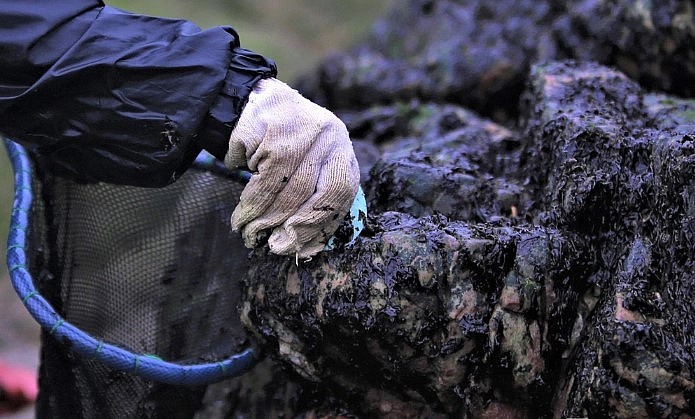 Dụng cụ để đi hái rong mứt cũng khá đơn giản, miếng cào bằng nhôm, sắt cán mỏng để cào mứt ra khỏi mỏm đá, túi lưới đựng rong