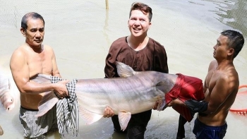 Sưu tầm kình ngư về chăm sóc, thường xuyên kiểm tra sức khỏe, vợ chồng miền Tây bảo tồn đàn cá khủng