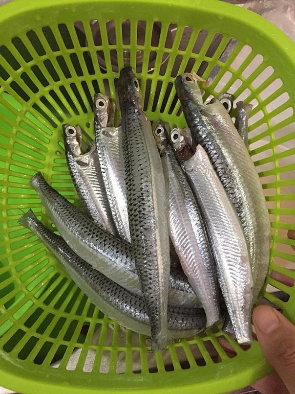 Cá dỗi chế biến nhiều món ăn ngon Cá dỗi chế biến nhiều món ăn ngon