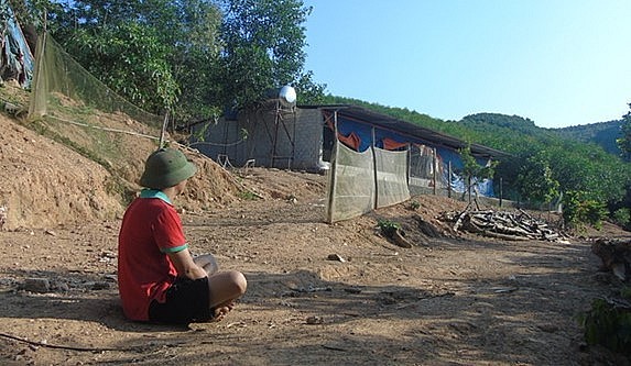 anh Phạm Văn Chính ở xóm Nhân Tiến chỉ còn biết thở dài, thẫn thờ nhìn đàn gà.