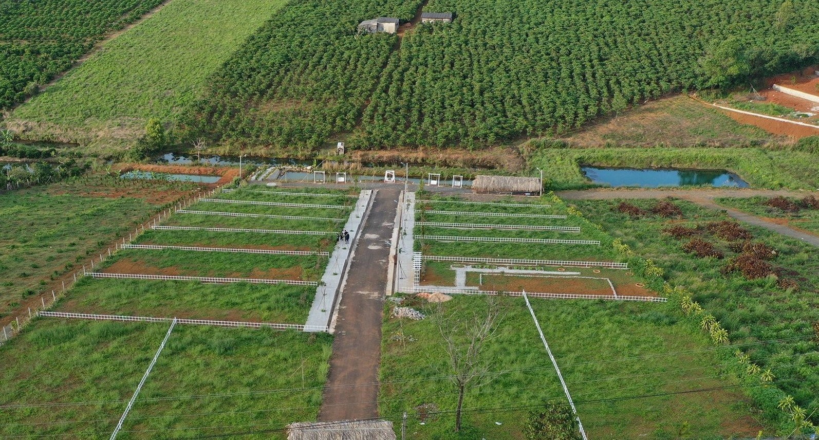 Lâm Đồng sẽ thanh tra việc cấp Giấy chứng nhận quyền sử dụng đất đối với một số Văn phòng đăng ký đất đai trên địa bàn tỉnh. (Ảnh minh họa). Lâm Đồng sẽ thanh tra việc cấp Giấy chứng nhận quyền sử dụng đất đối với một số Văn phòng đăng ký đất đai trên địa bàn tỉnh. (Ảnh minh họa).