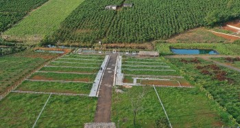 Tỉnh Lâm Đồng ủy quyền cho các huyện, thành phố quyết định giá đất