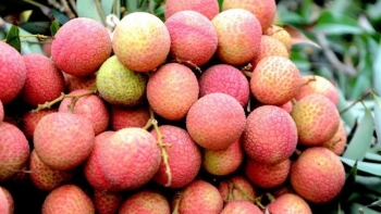 3 loại vải đắt gấp đôi vải thường, luôn “cháy” hàng mỗi khi vào mùa