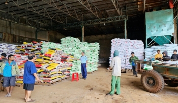 Gia Lai: Phát hiện hộ kinh doanh phân bón không có giấy chứng nhận đủ điền kiện buôn bán