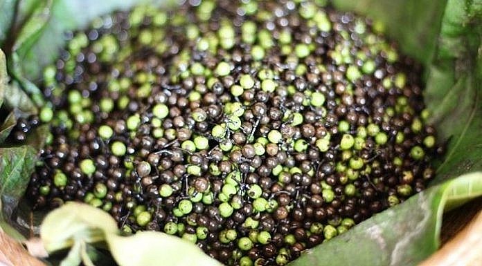 hình dáng giống như hạt tiêu nhưng do có mùi thơm của sả nên người dân gọi đây là trái sả rừng