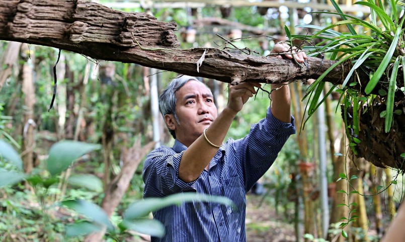 Ông nói: “Tôi luôn có cảm giác mình có nợ với rừng, với phong lan rừng.