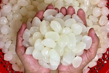 Loại hạt rừng trắng như ngọc về xuôi, chị em săn lùng dù giá cao