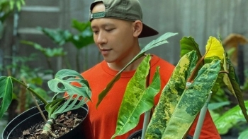 Vườn kiểng lá của "soái ca" Sài Gòn, bỏ 4 tỷ kỳ công sưu tầm hàng hiếm lạ