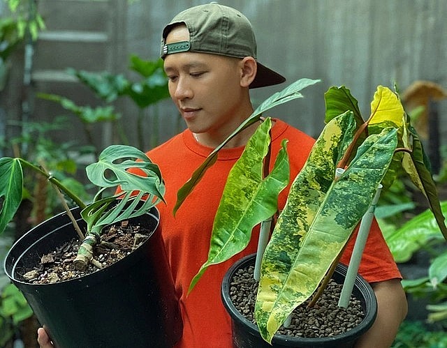 Mê kiểng lá nên anh chọn cho mình cái tên Anh Tâm Thực Vật. 