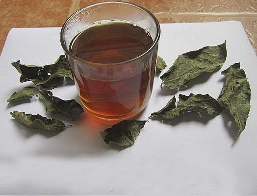 Trà chiết từ lá xạ đen