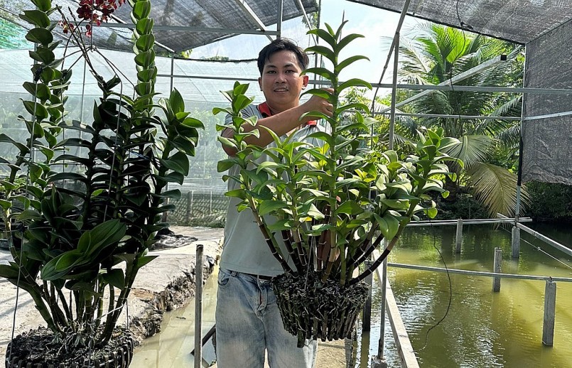 Đinh Vĩnh Khang hiện sở hữu vườn hoa lan với diện tích 4.000 m2 Đinh Vĩnh Khang hiện sở hữu vườn hoa lan với diện tích 4.000 m2