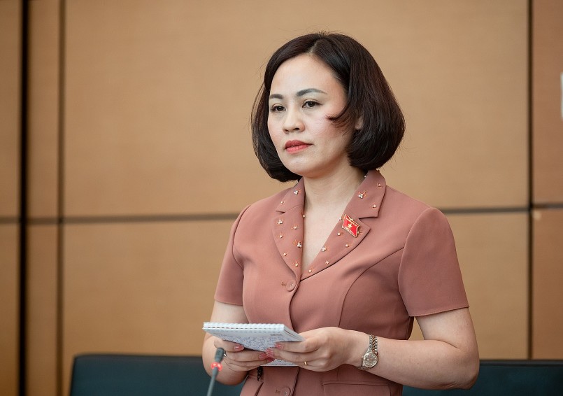 Đại biểu Trần Thị Hồng Thanh – Đoàn đại biểu Quốc hội tỉnh Ninh Bình