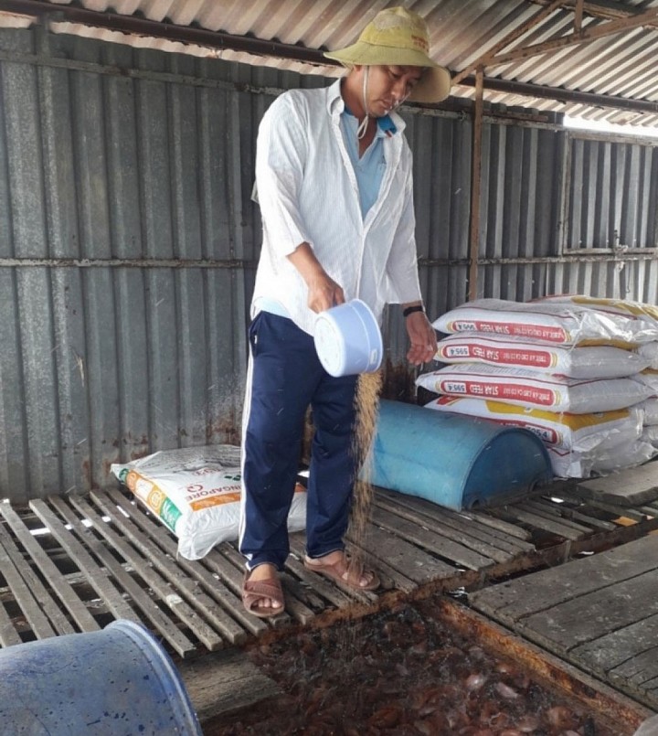 nuôi cá lồng bè ở tỉnh Tiền Giang rất phấn khởi, tiếp tục mở rộng mô hình.