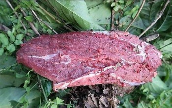 Món ăn nghe lạ tai, ăn lạ miệng, chế biến lạ lùng lại là đặc sản của Vĩnh Phúc