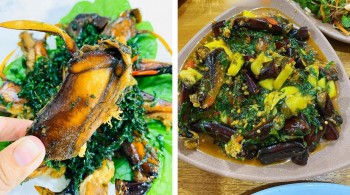 Món đặc sản "10 chân 4 mắt" ở Quảng Ninh hấp dẫn cỡ nào mà thực khách sẵn sàng chi tiền triệu?