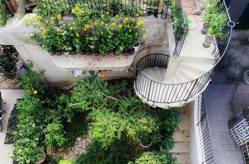 Các mặt hàng về hạt giống, đất trồng, phân bón và phụ kiện liên quan đến làm vườn đô thị cũng phát triển mạnh. Các mặt hàng về hạt giống, đất trồng, phân bón và phụ kiện liên quan đến làm vườn đô thị cũng phát triển mạnh.