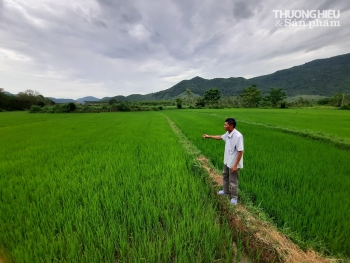 Kênh Thượng Sơn hồi sinh nhiều vùng "đất chết"