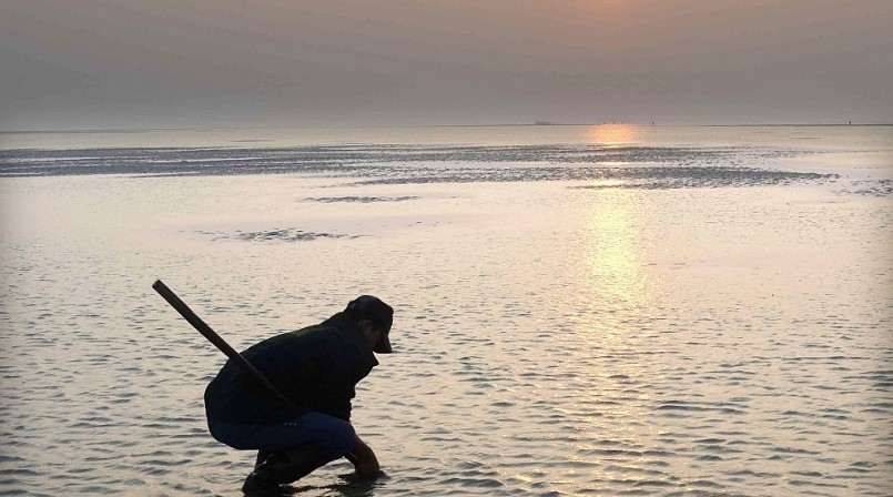 Thứ có tên gọi lạ, xưa ít người biết, nay thành đặc sản nổi tiếng một vùng, giá 200.000 đồng/kg