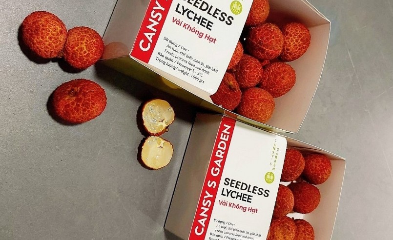 Những trái vải thiều không hạt đầu tiên đang được thị trường đón nhận. Những trái vải thiều không hạt đầu tiên đang được thị trường đón nhận.