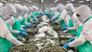 Đề nghị Trung Quốc sớm ký Nghị định thư xuất khẩu thủy sản