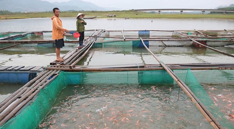 Trên dòng sông A Sáp - nơi dẫn nước vào lòng hồ thủy điện A Lưới cũng xuất hiện nhiều mô hình nuôi cá lồng cho hiệu quả cao. Trên dòng sông A Sáp - nơi dẫn nước vào lòng hồ thủy điện A Lưới cũng xuất hiện nhiều mô hình nuôi cá lồng cho hiệu quả cao.