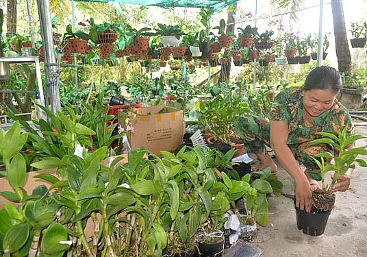 Giờ đây khách hàng cả nước đã biết đến biệt tài chăm sóc hoa lan của chị Trang.