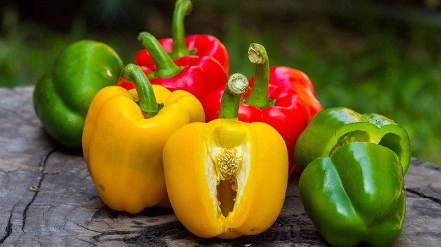 Quy định mới của EU về các biện pháp khẩn cấp và tạm thời kiểm soát an toàn thực phẩm