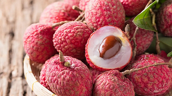 Hưng Yên có thể thu về khoảng 300 tấn vải trứng Hưng Yên