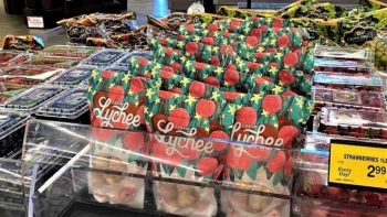 Vải thiều Bắc Giang xuất ngoại sang Mỹ, giá bán gần 500.000 đồng/kg