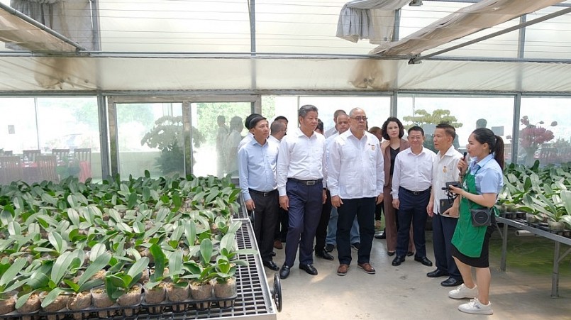 Trang trại trồng lan công nghệ cao đã đón nhiều đoàn khách trong nước và quốc tế đến tìm hiểu và hợp tác. Trang trại trồng lan công nghệ cao đã đón nhiều đoàn khách trong nước và quốc tế đến tìm hiểu và hợp tác.