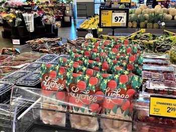 Vải thiều Bắc Giang xuất ngoại sang Mỹ, giá bán gần 500.000 đồng/kg