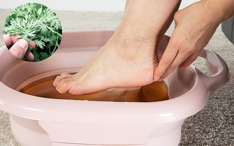 ngâm chân bằng lá ngải cứu điều kỳ diệu sẽ xảy