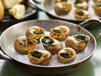 Loài vật xuất hiện 2000 năm trước trở thành đặc sản cho giới nhà giàu ở Pháp