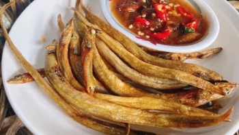 Loài cá bé xíu, khô đét, xưa ít người ăn nay lên đời thành đặc sản, giá 230.000 đồng/kg