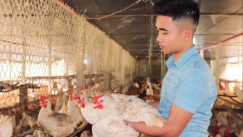 Từ cậu thanh niên vỡ nợ đến ông chủ trại gà thu tiền tỷ mỗi năm