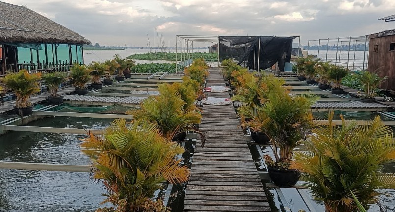 Kinh ngạc với trại cá thu 7 tỷ mỗi năm của lão nông Cần Thơ, tạo sức hút du khách từ cách làm bất ngờ