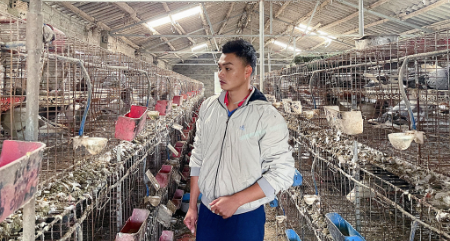 Nuôi con đặc sản bổ gấp 9 lần thịt gà, chi phí thấp giá bán cao, nhà nông lãi trăm triệu mỗi năm