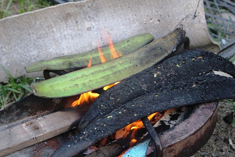 Quả núc nác đem về nướng cháy vỏ ngoài