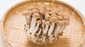 Một số thực phẩm tuyệt đối không nên kết hợp với nấm, biết mà tránh kẻo “hối không kịp”