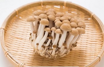 Một số thực phẩm tuyệt đối không nên kết hợp với nấm, biết mà tránh kẻo “hối không kịp”