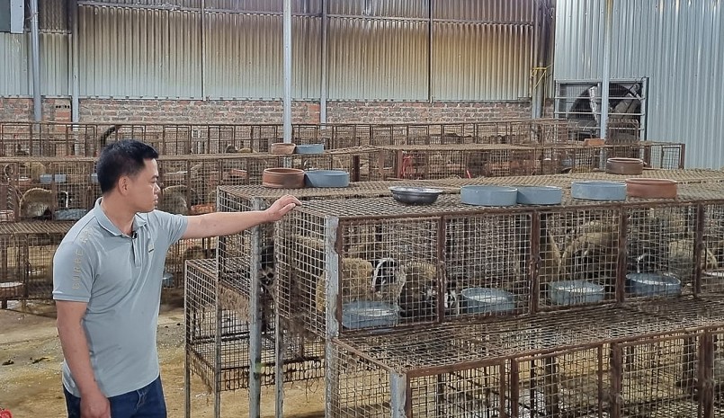 anh Phạm Văn Hùng đang sở hữu trại nuôi quy mô lớn anh Phạm Văn Hùng đang sở hữu trại nuôi quy mô lớn