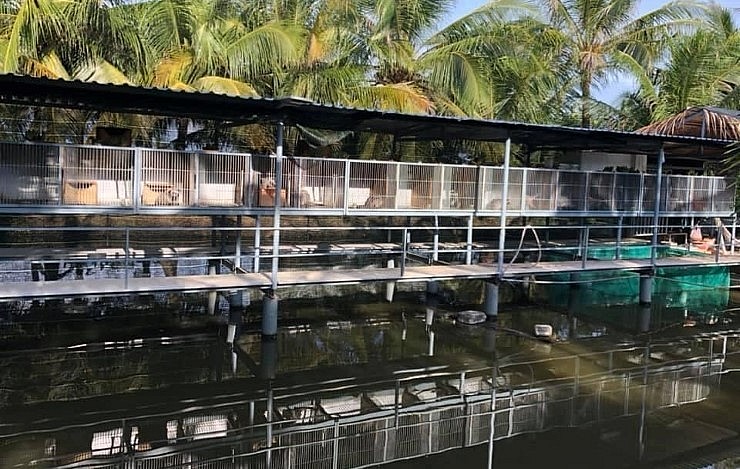 Anh hùng tiếp tục mở rộng thêm trại nuôi cầy vòi ở Bình Dương. Anh hùng tiếp tục mở rộng thêm trại nuôi cầy vòi ở Bình Dương.