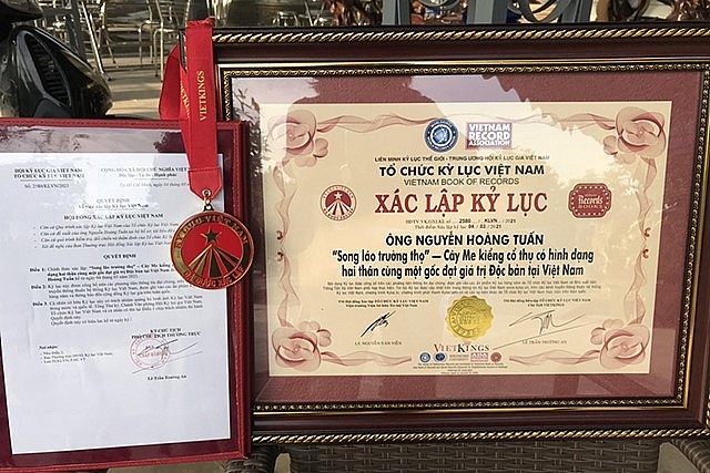 Bộ sưu tập me kiểng của anh Tuấn đã được Tổ chức kỷ lục Việt Nam xác lập kỷ lục “Bộ sưu tập me kiểng cổ thụ có số lượng nhiều nhất Việt Nam”.