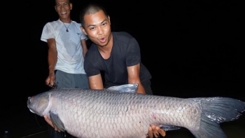 Bất ngờ câu được thủy quái nặng gần nửa tạ, cần thủ tiết lộ bí quyết trong 3 năm "khổ nhục kế"