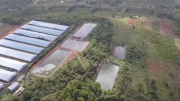 Đắk Nông: Vi phạm quy định về môi trường, doanh nghiệp chăn nuôi lợn bị xử phạt hơn 1,4 tỷ đồng