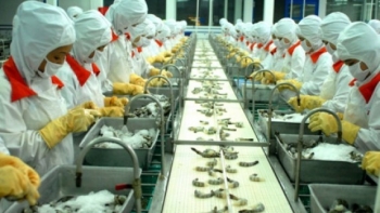 Xuất khẩu thủy sản 5 tháng đạt gần 3,38 tỷ USD