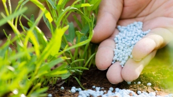 Nhập khẩu phân bón 5 tháng giảm mạnh