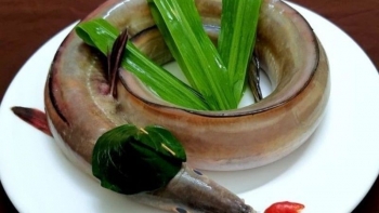 Gỏi cá dưa- món ngon nức tiếng làng biển xứ Thanh